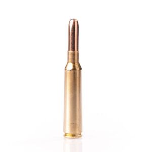 FIOCCHI 6,5X55 SE RNSP 160 GRAIN